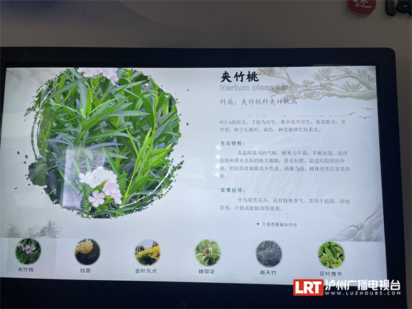 泸州市植物园科技互动馆开馆了 免费开放！(图3)