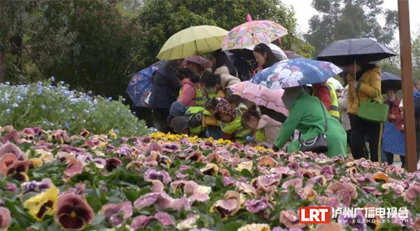 泸州市植物园科技互动馆开馆了 免费开放！(图6)