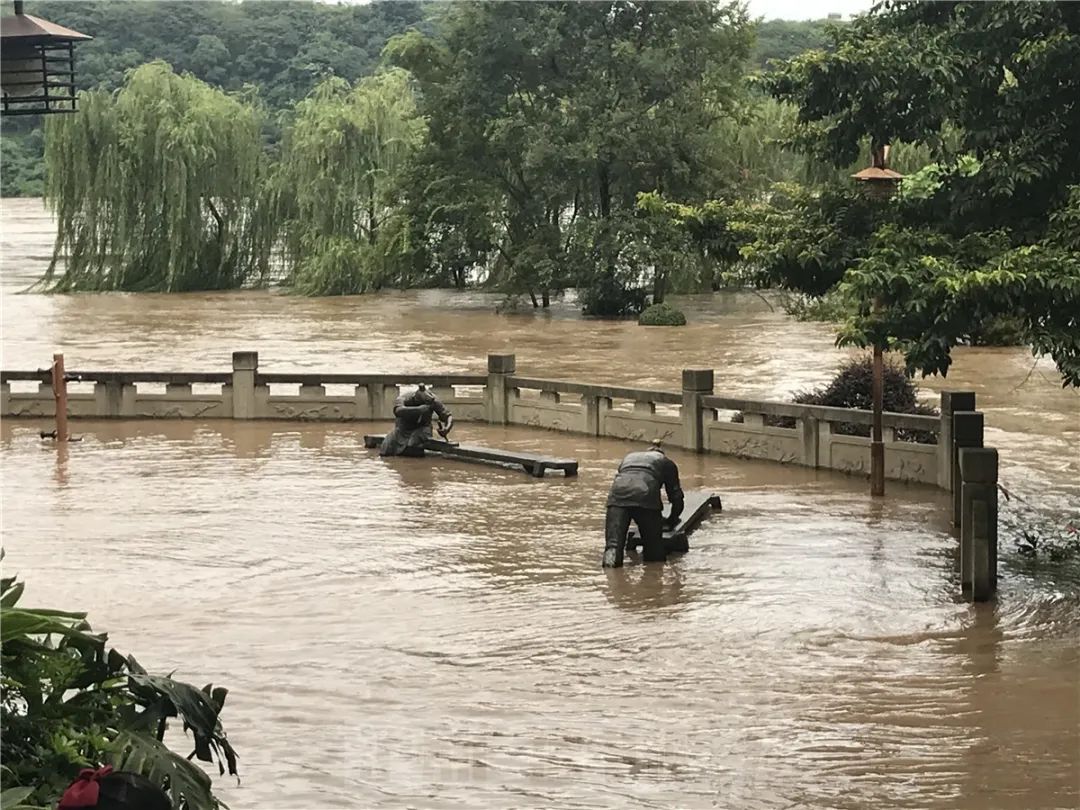 泸州段长江沱江洪峰来袭 临江市民陆续撤离中(图5)