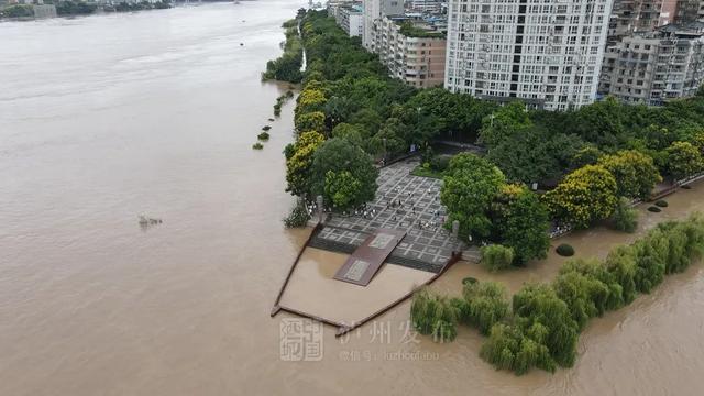 中共泸州市委书记刘强对防汛减灾工作作了紧急安排 应对两江洪峰过境泸州(图4)