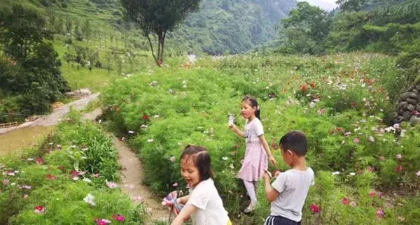 坐着飞机来看“醉美泸州” 持目的地为泸州登机牌，这些景区可享优惠!(图13)