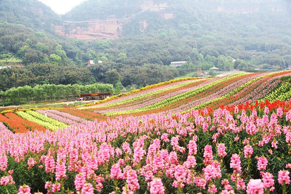 坐着飞机来看“醉美泸州” 持目的地为泸州登机牌，这些景区可享优惠!(图15)