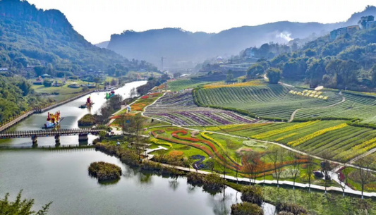 9月10日至20日全国教师可免费游泸州花田酒地景区(图1)