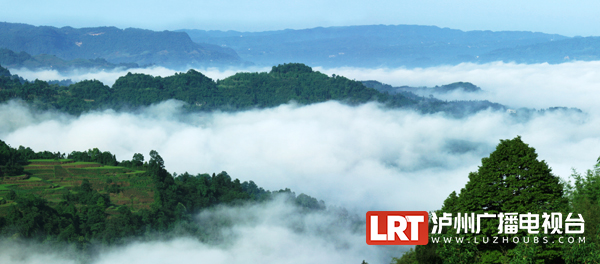 泸州成功签约四个重点文旅项目 总投资183亿元 (图2)