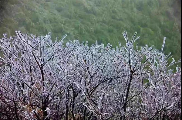 泸州天气 近期气温持续降低 高海拔地区须注意“凝冻天气”(图2)