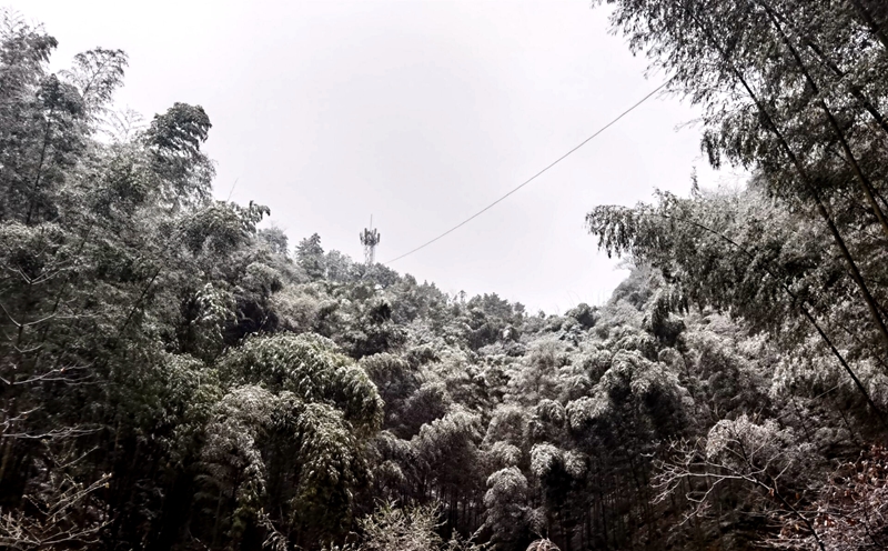 合江法王寺雪景