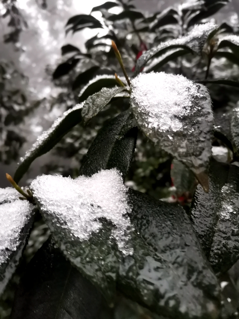 泸州合江笔架山景区雪景