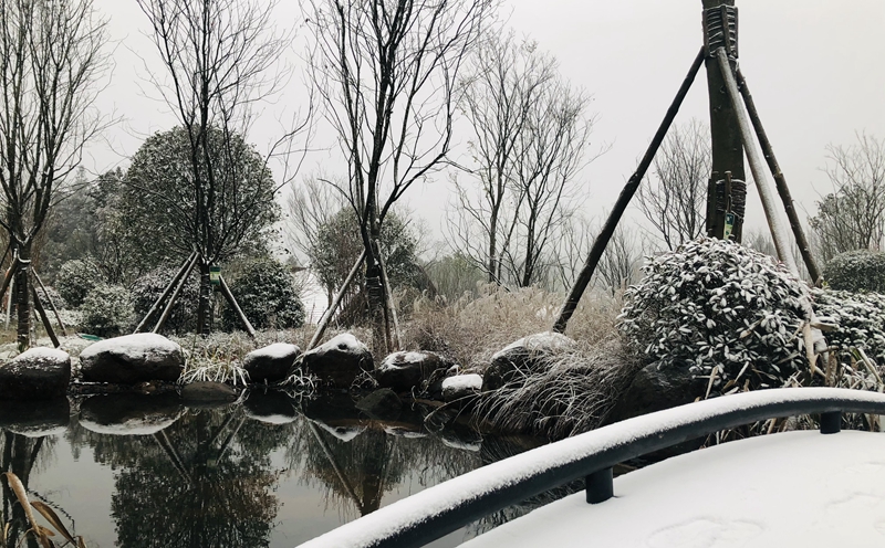 不只有刷爆朋友圈的雪景，带你走进真正的金龙云海！(图4)