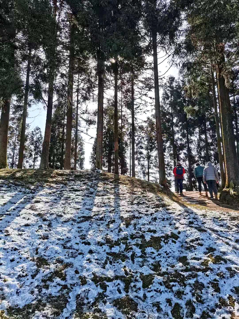 不只有刷爆朋友圈的雪景，带你走进真正的金龙云海！(图6)