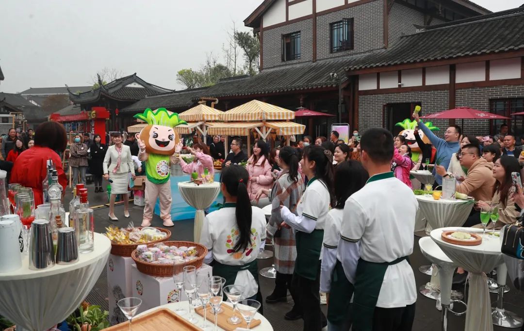 “乡约”江阳！四川省第十二届（春季）乡村文化旅游节在泸州开幕(图16)